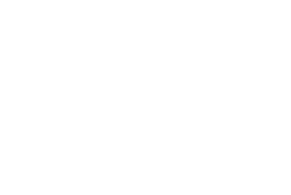 El Seteo